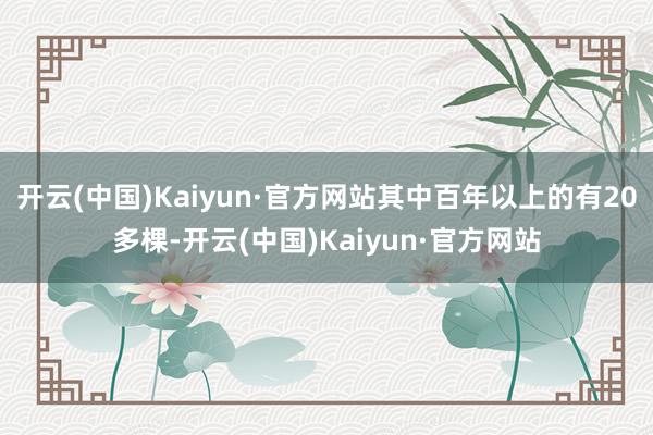 开云(中国)Kaiyun·官方网站其中百年以上的有20多棵-开云(中国)Kaiyun·官方网站