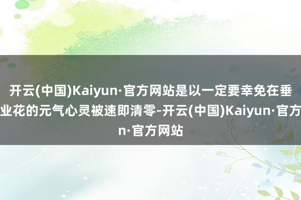 开云(中国)Kaiyun·官方网站是以一定要幸免在垂直行业花的元气心灵被速即清零-开云(中国)Kaiyun·官方网站