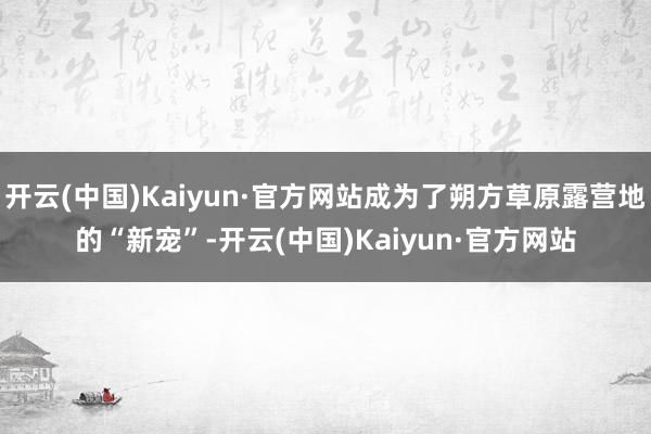 开云(中国)Kaiyun·官方网站成为了朔方草原露营地的“新宠”-开云(中国)Kaiyun·官方网站