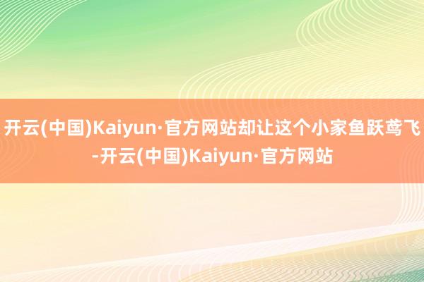 开云(中国)Kaiyun·官方网站却让这个小家鱼跃鸢飞-开云(中国)Kaiyun·官方网站