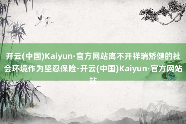 开云(中国)Kaiyun·官方网站离不开祥瑞矫健的社会环境作为坚忍保险-开云(中国)Kaiyun·官方网站