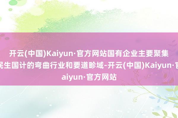 开云(中国)Kaiyun·官方网站国有企业主要聚集在干系民生国计的弯曲行业和要道畛域-开云(中国)Kaiyun·官方网站