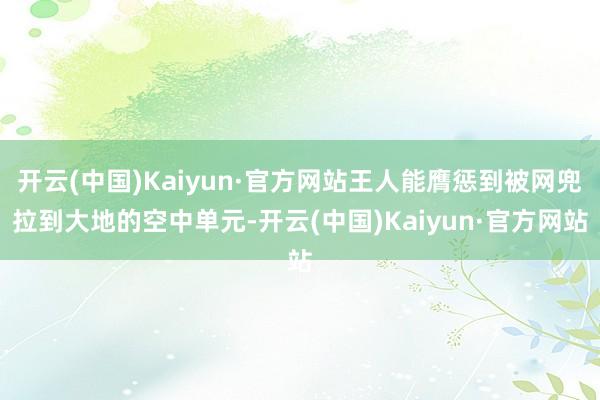 开云(中国)Kaiyun·官方网站王人能膺惩到被网兜拉到大地的空中单元-开云(中国)Kaiyun·官方网站