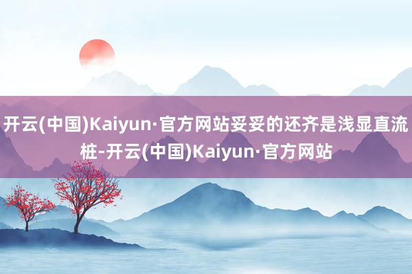 开云(中国)Kaiyun·官方网站妥妥的还齐是浅显直流桩-开云(中国)Kaiyun·官方网站